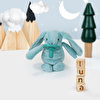 Oioi Baby Sleeping Friend with Pacifier and Hygienic Cap- Blue Rabbit