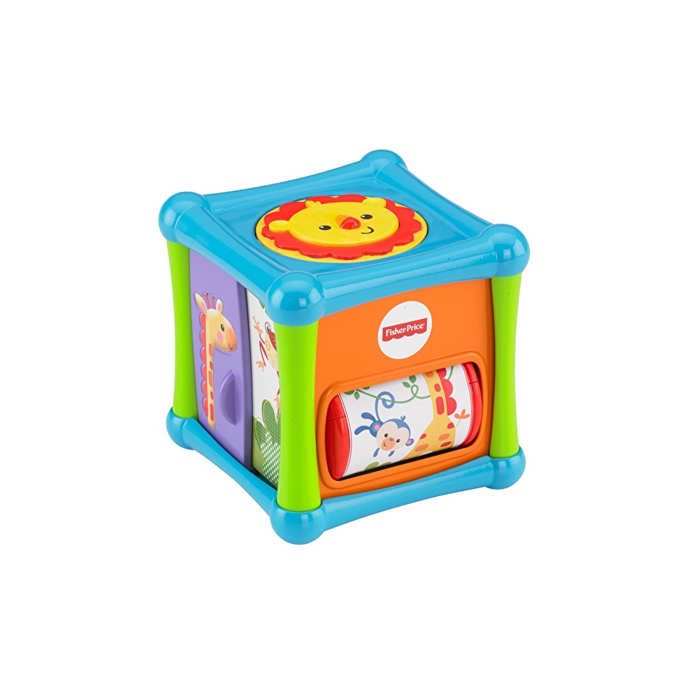 animal activity cube fisher price