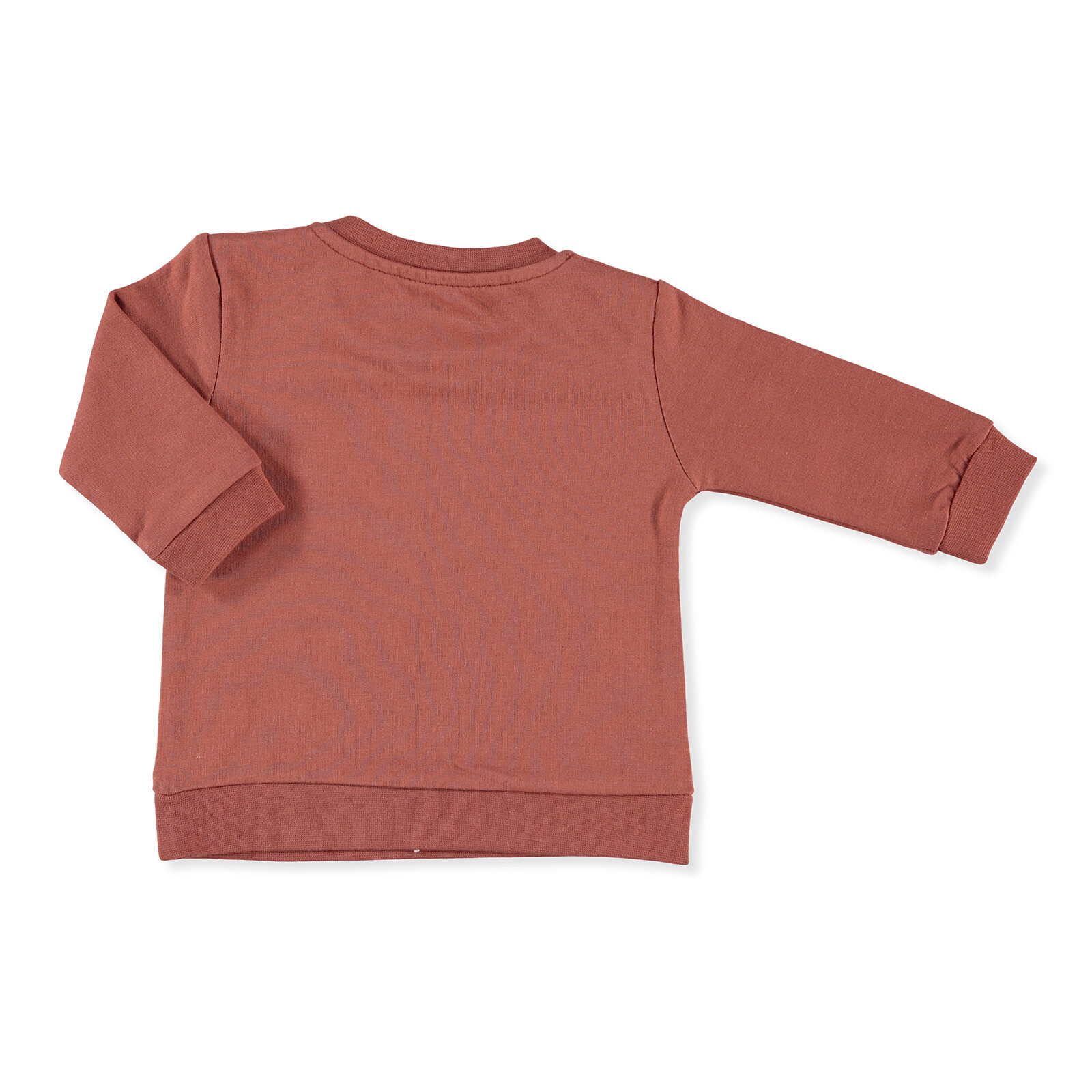 Fisher Price Polar Friends Bebek Sweatshirt