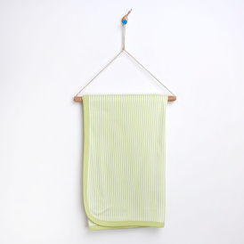 Green Striped 80x80 Double Layer Blanket