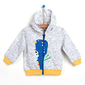 Bebek Sweatshirt Cocuk Kapsonlu Sweat Modelleri Ebebek