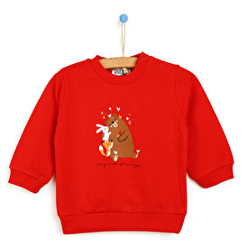 Bebek Sweatshirt Cocuk Kapsonlu Sweat Modelleri Ebebek