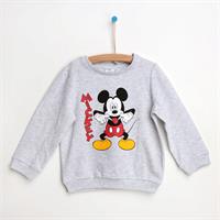 Baby Sweatshirt Ebebek